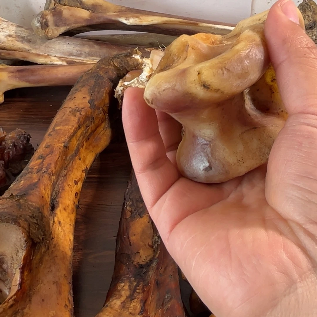 停***走hhhu弹跳骨弹跳骨弹跳骨弹跳骨