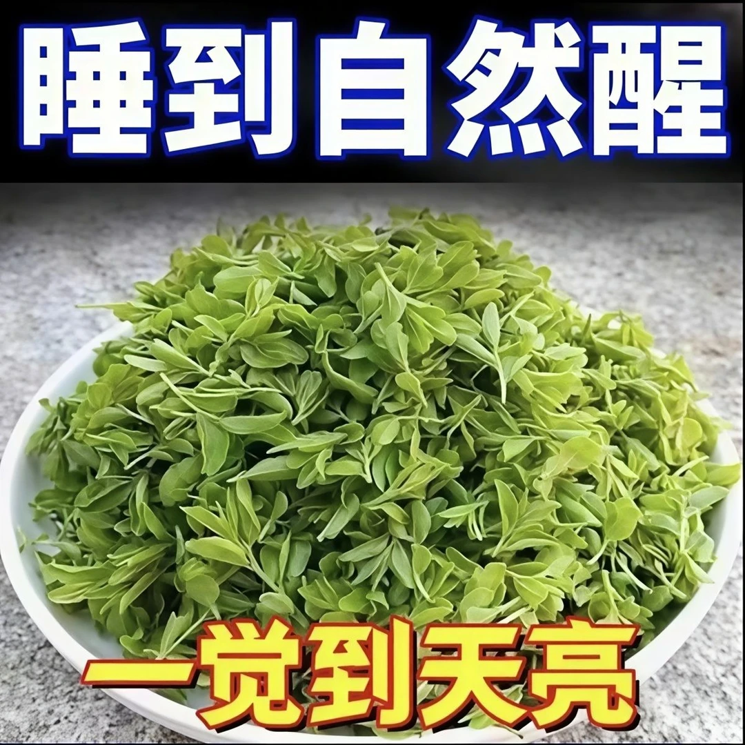 野生酸枣嫩芽手工养生茶新货无炒制老叶