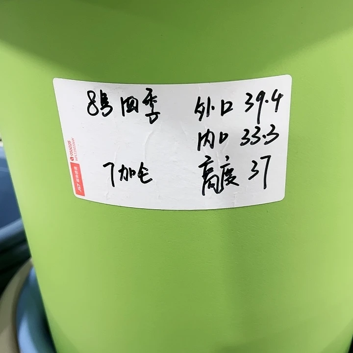特价8号口39高37果绿5只带托