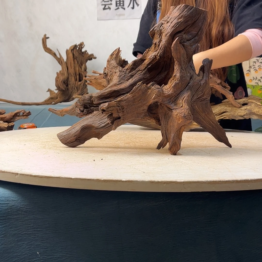 沉木造景寄居蟹景