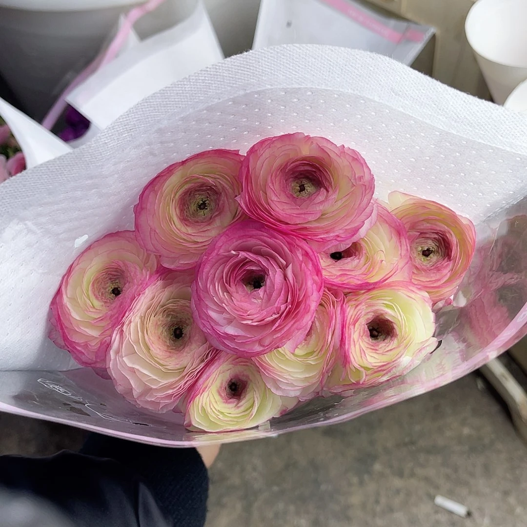 完全开放洋牡丹（西柚）一扎