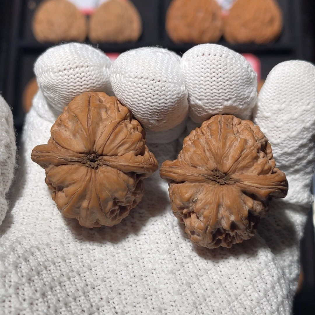 文玩核桃吊坠01秦皇岛山地果全品元宝