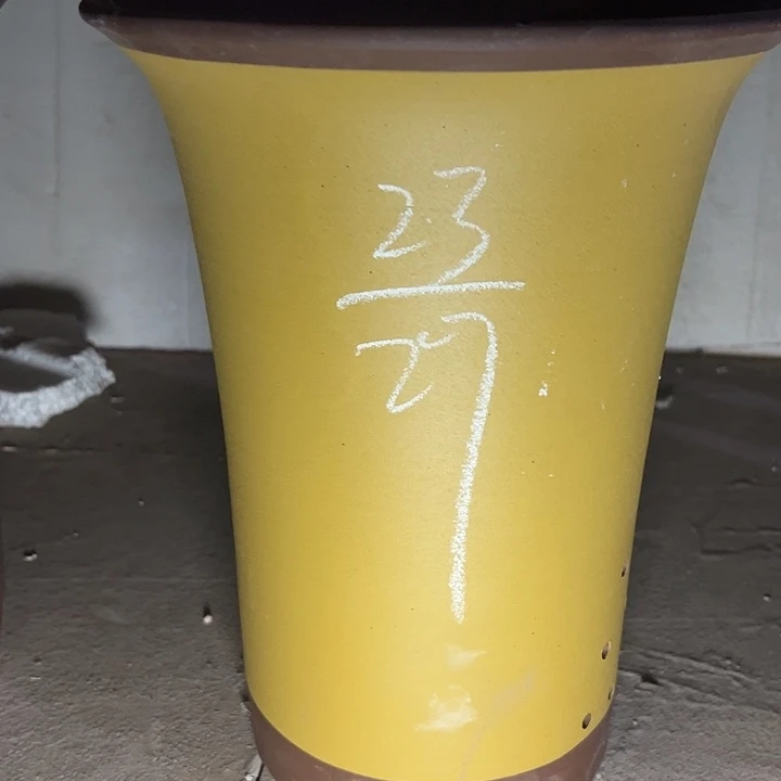 真是这是事实试试再说