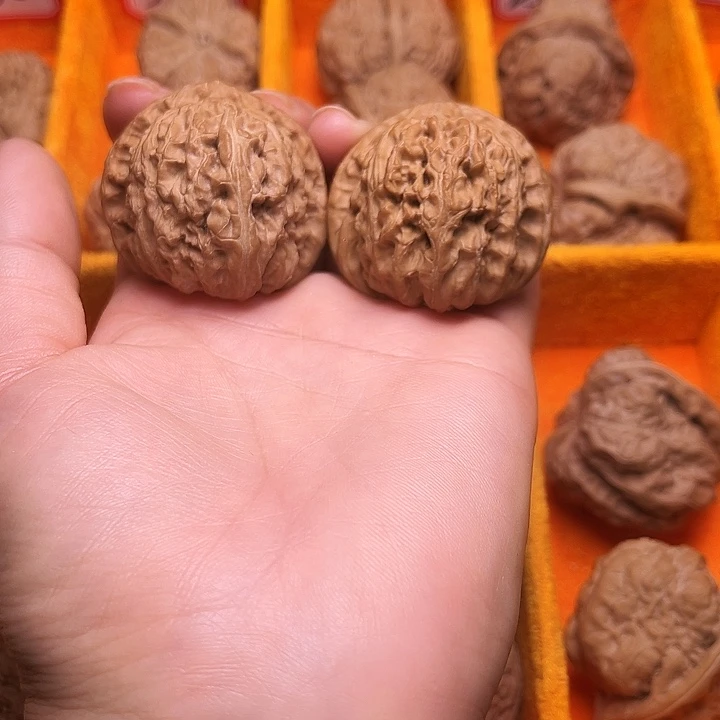 葫芦涞水山地果白狮子全品