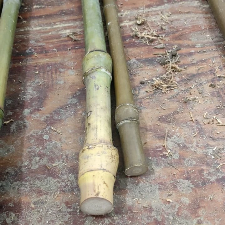 秋***雨实心玉竹手把件金条料