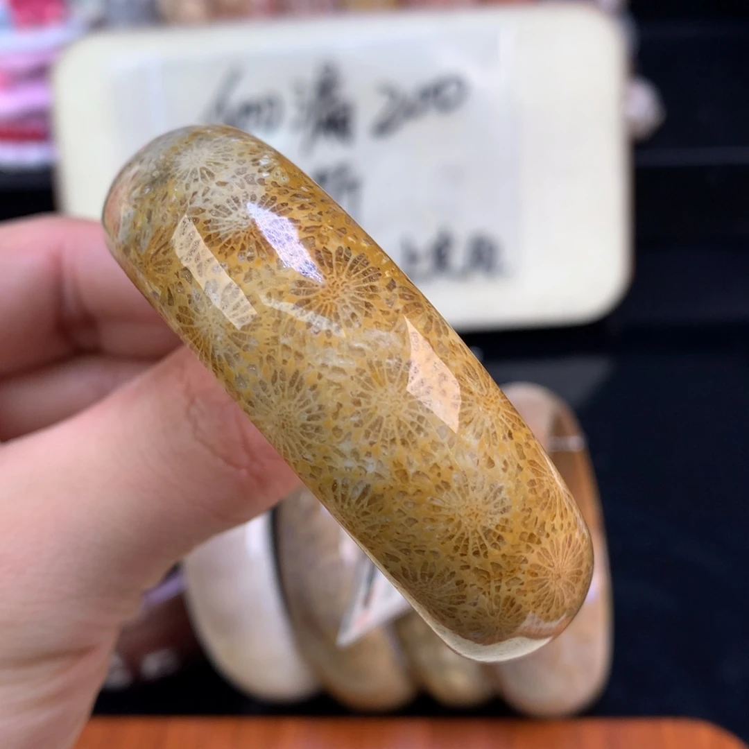 硅化珊瑚（珊瑚玉）未镶嵌颈饰60号金大花花53.9圈