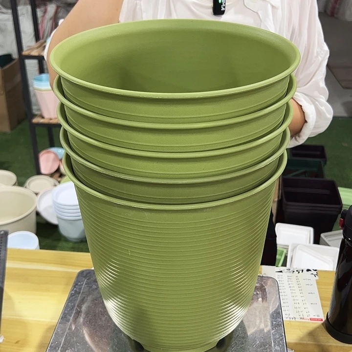 高陶口27高27果绿色5个无托