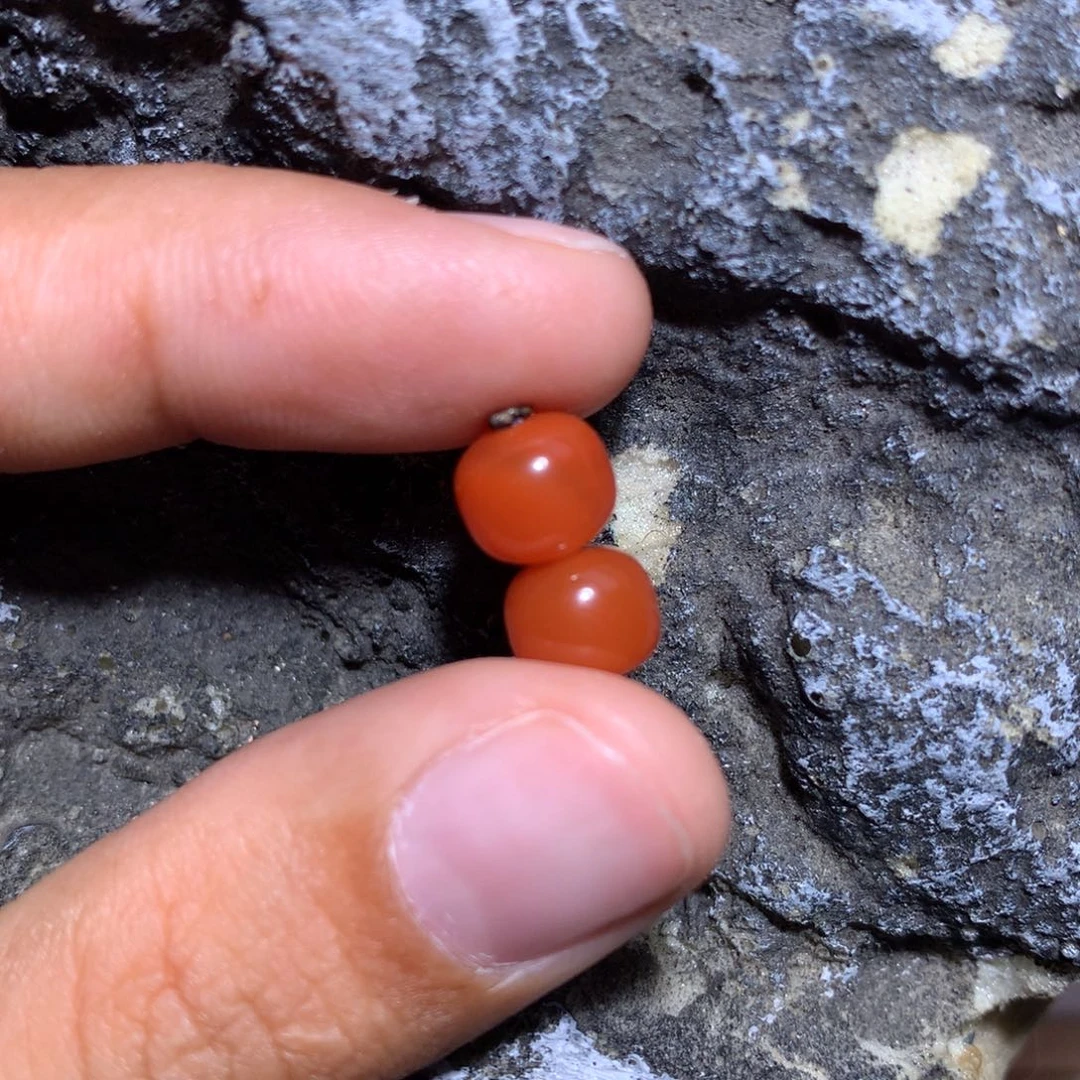 南红玛瑙未镶嵌柿子红老型对珠7.8×6.8微沙带