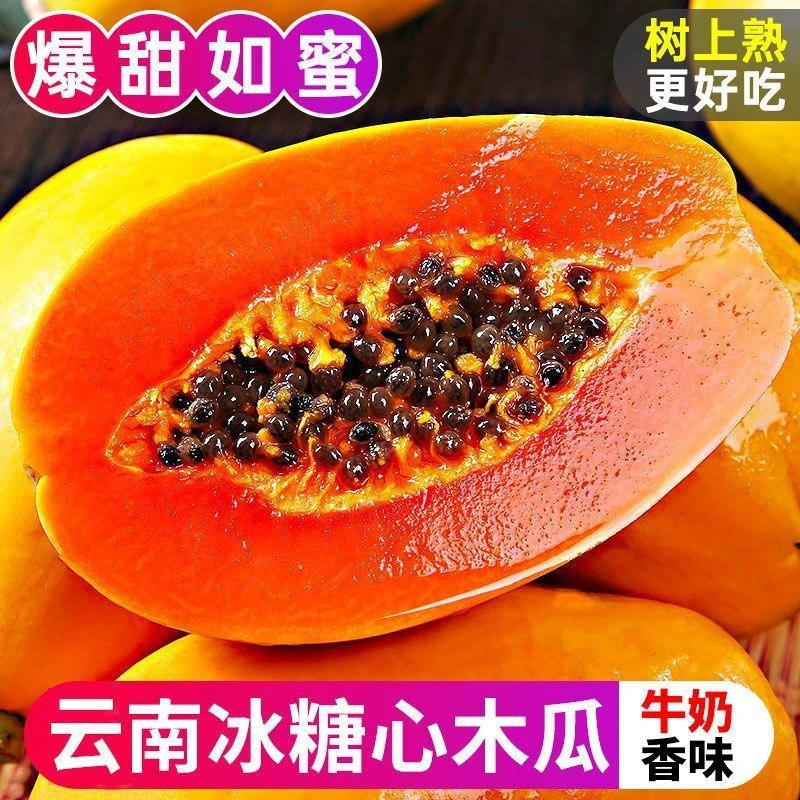云南红心木瓜产地直发牛奶冰糖心木瓜水果香树上熟坏果包赔鲜水果