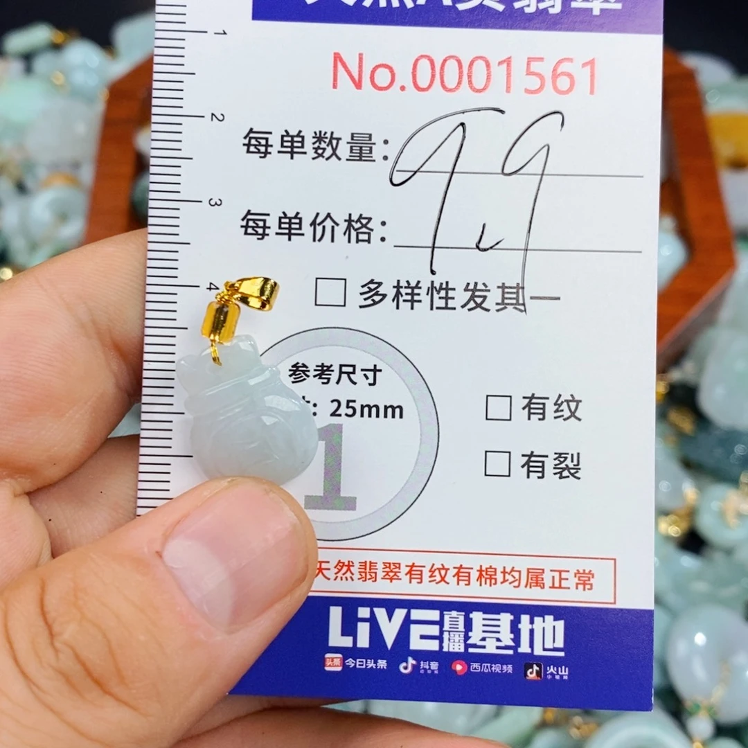 颈饰未镶嵌翡翠1561