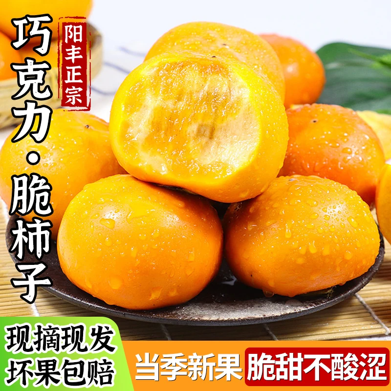 阳丰巧克力脆柿子新鲜水果当季甜脆柿子现摘硬柿子多仓发货