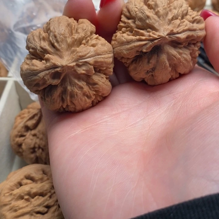 我***恒把件文玩核桃霸王龙