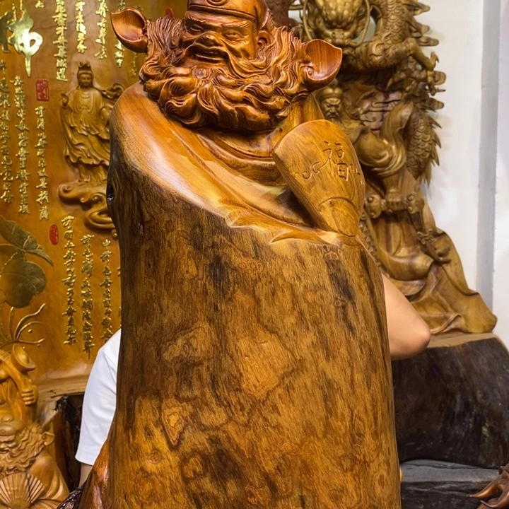 用***技木香樟木高度70厘米