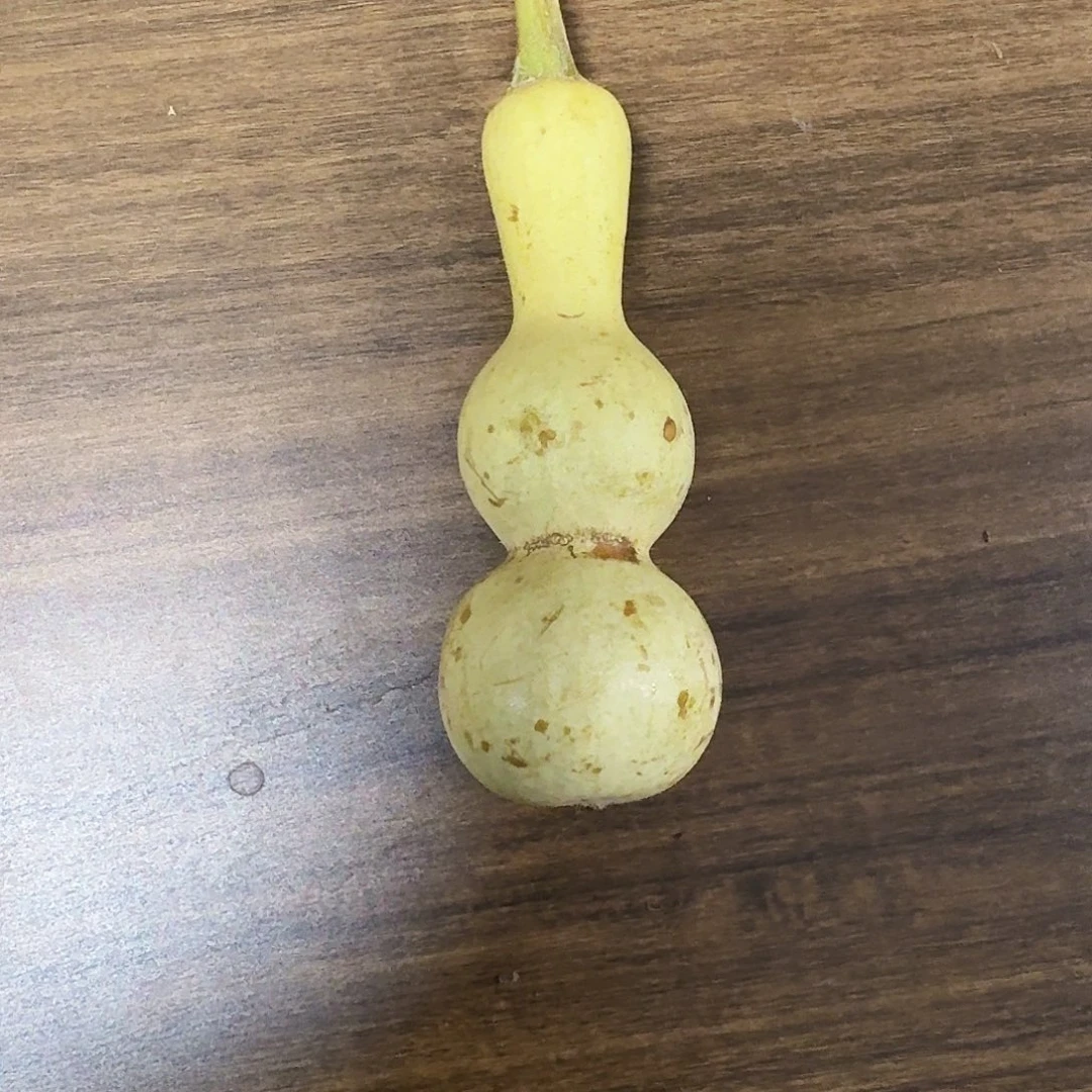 素***球你说什么时候去了