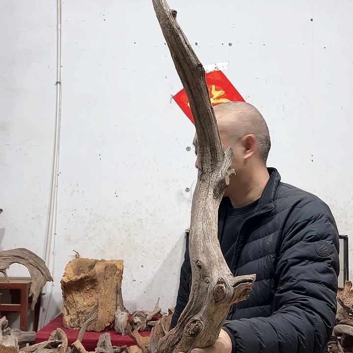 柏木宫***羽我们的生活也是