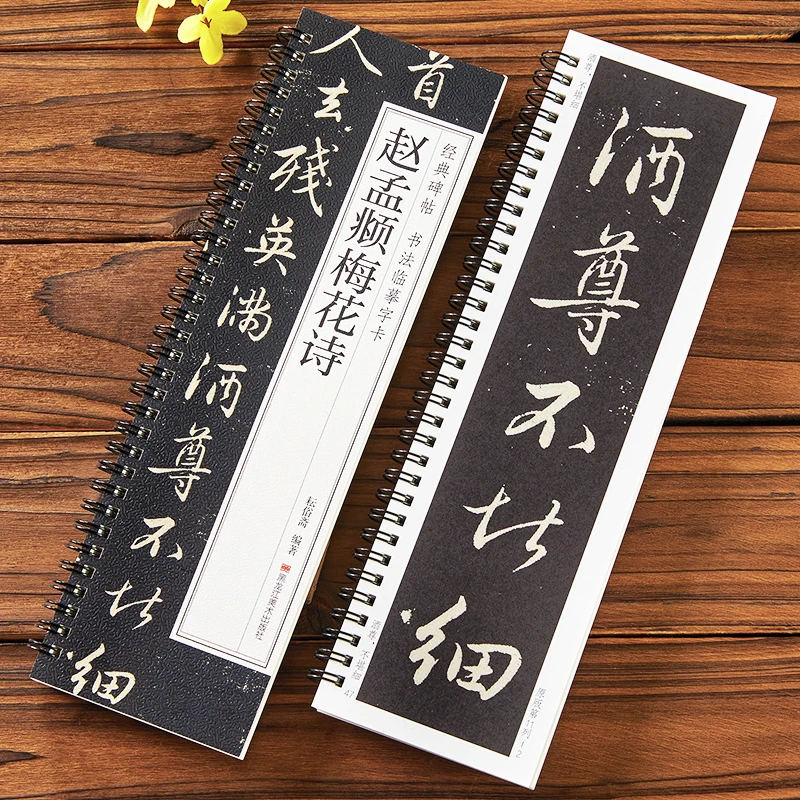 赵孟頫梅花诗 经典碑帖书法近距离临摹字卡 赵孟俯赵体行书毛笔书