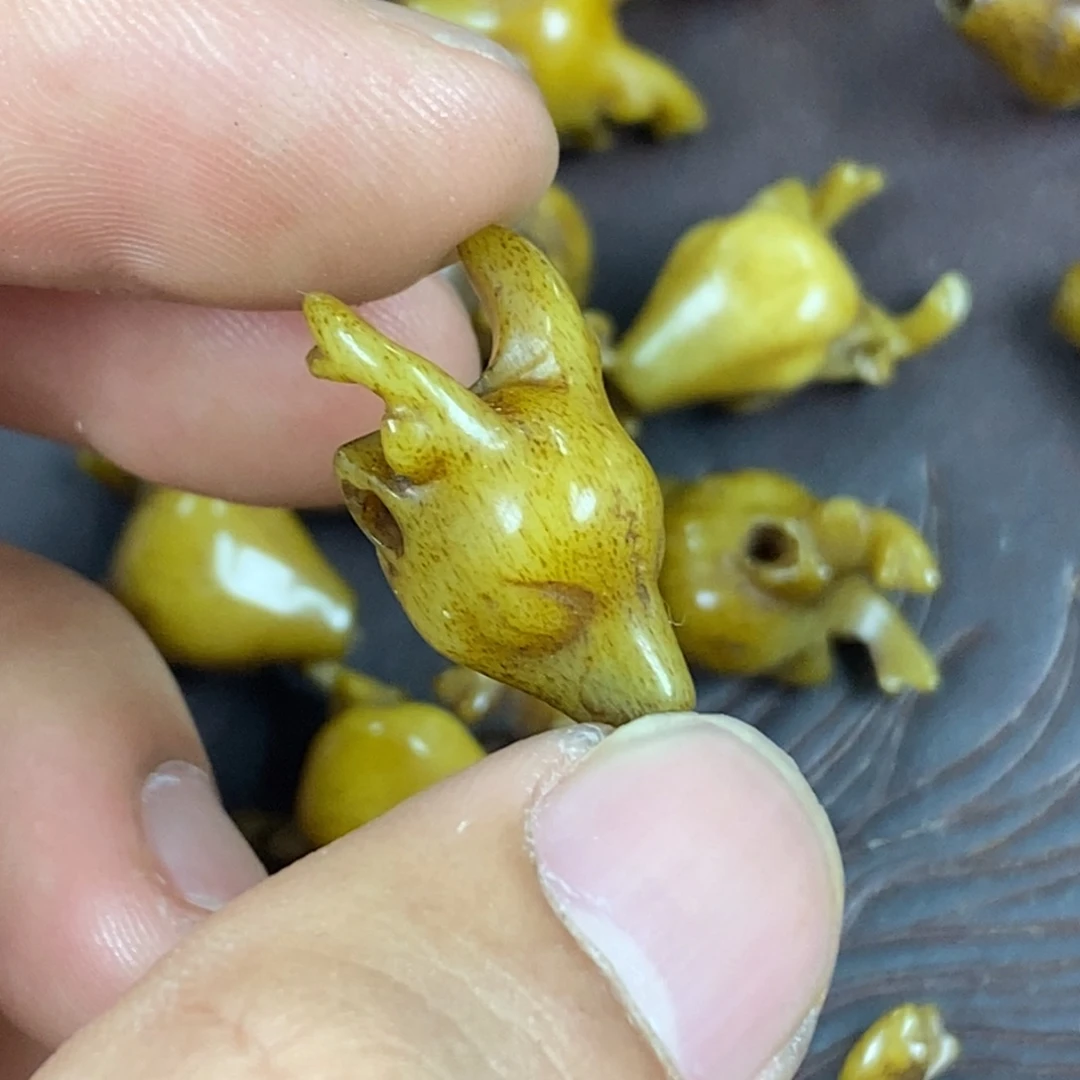 其他驼骨1.2尺寸,63