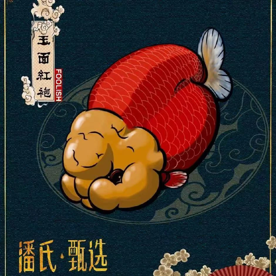 包邮包损多种花色兰寿观赏鱼