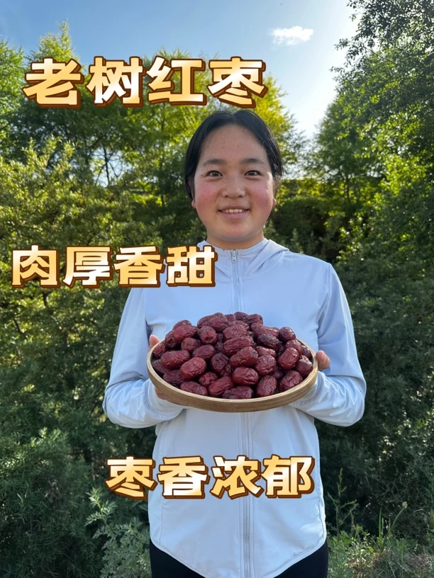 老树红枣 枣香浓郁