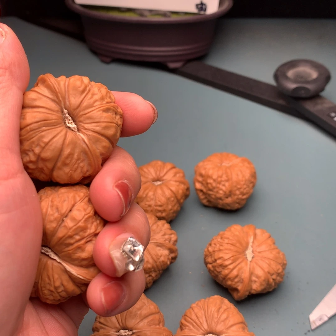 文玩核桃把件南瓜3839