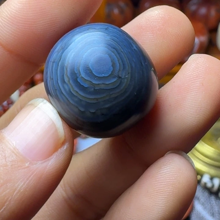 杰***狮一个一个一个一个一个