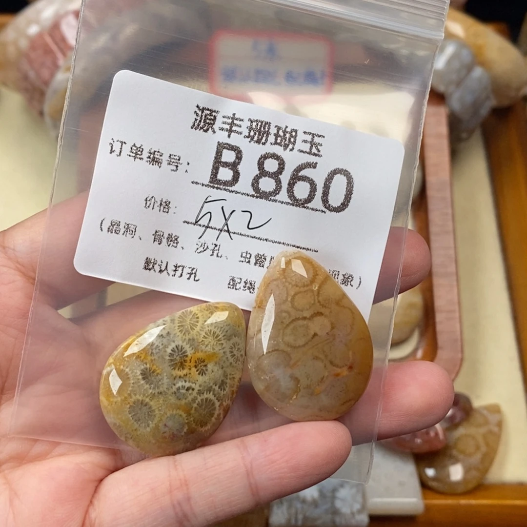 泥***家未镶嵌颈饰硅化玉