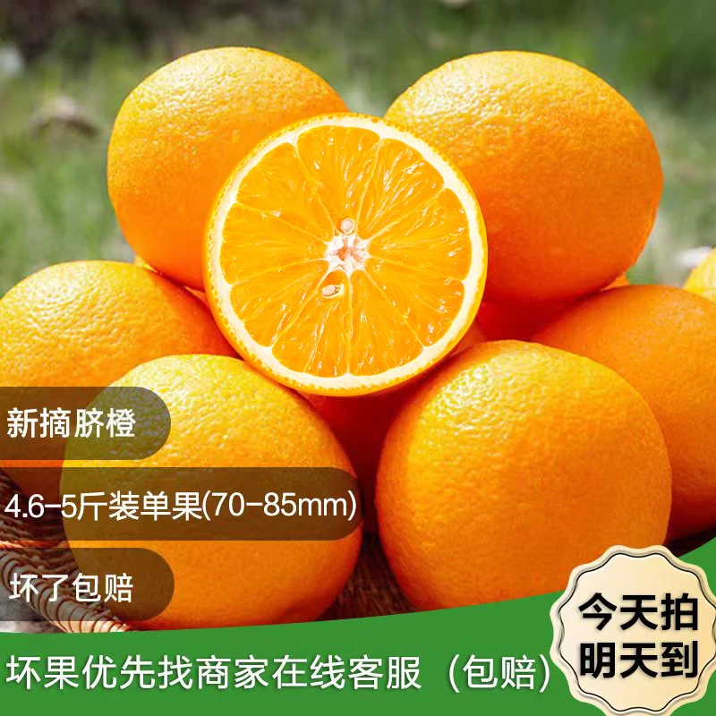 18【包邮次日达】新鲜脐橙4.6-5斤，中大果70-85mm多汁农家现摘