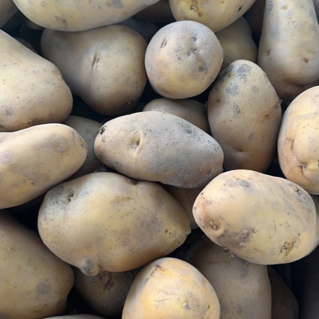 农村自家土豆大小都有（5.5斤包邮）只卖辽宁省内