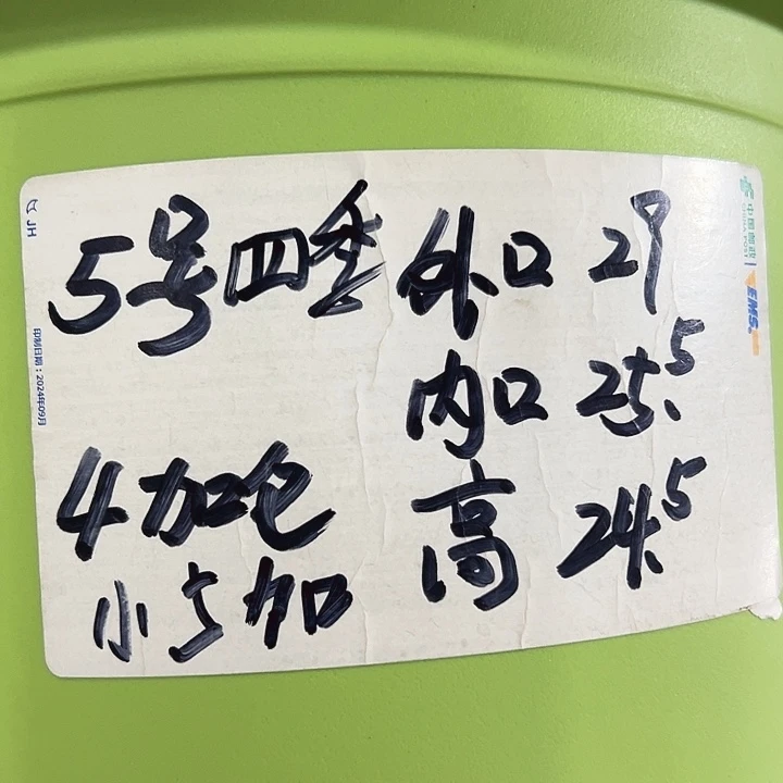特价5号四季口29高24.5果绿无托5只