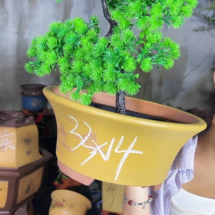 33黄票口花盆花盆花盆花盆