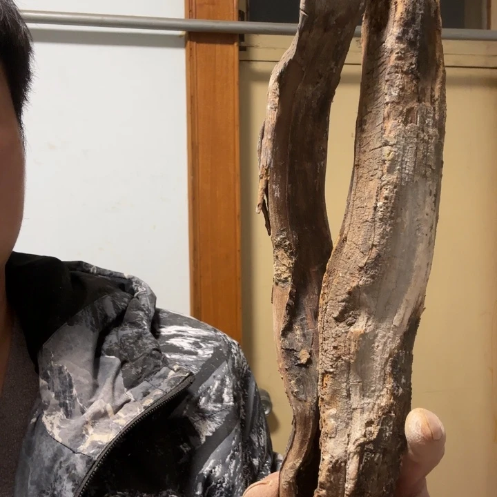 勇***往木太行崖柏太行崖柏