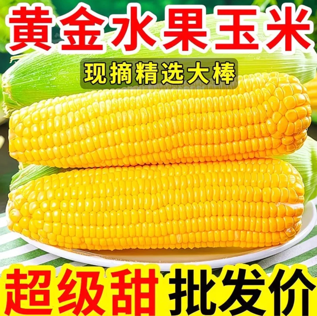 云南高山水果甜玉米口感清甜可生吃适合榨汁蒸煮当早餐