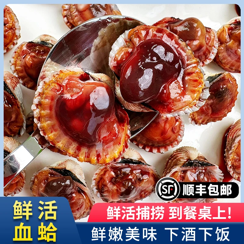 血蛤温州乐清翁洋血蛤新鲜花蛤血哈鲜甜肉厚美味海鲜(大号)