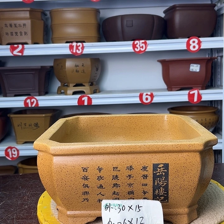 紫砂花盆蛇年大吉