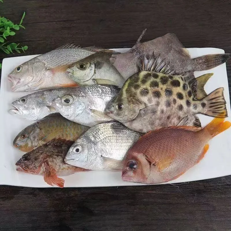 【杂鱼链接】杂鱼散货具体规格重量以直播间为主【江江链接】