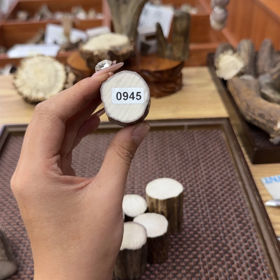 其他鹿骨0945尖段