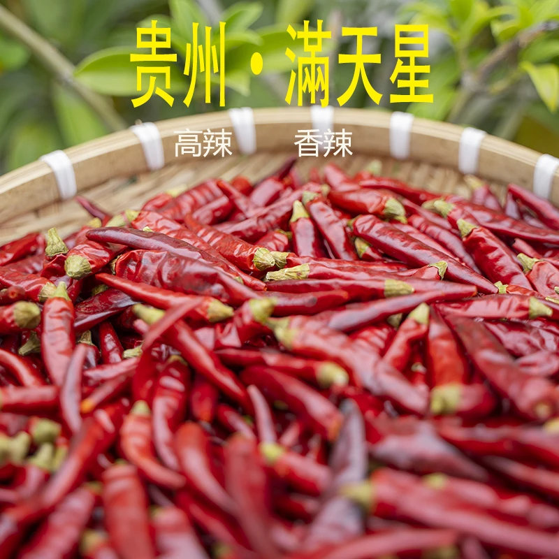 贵州朝天椒小米辣辣椒 高辣香辣耐煮 穿透力高 餐饮必备辣椒