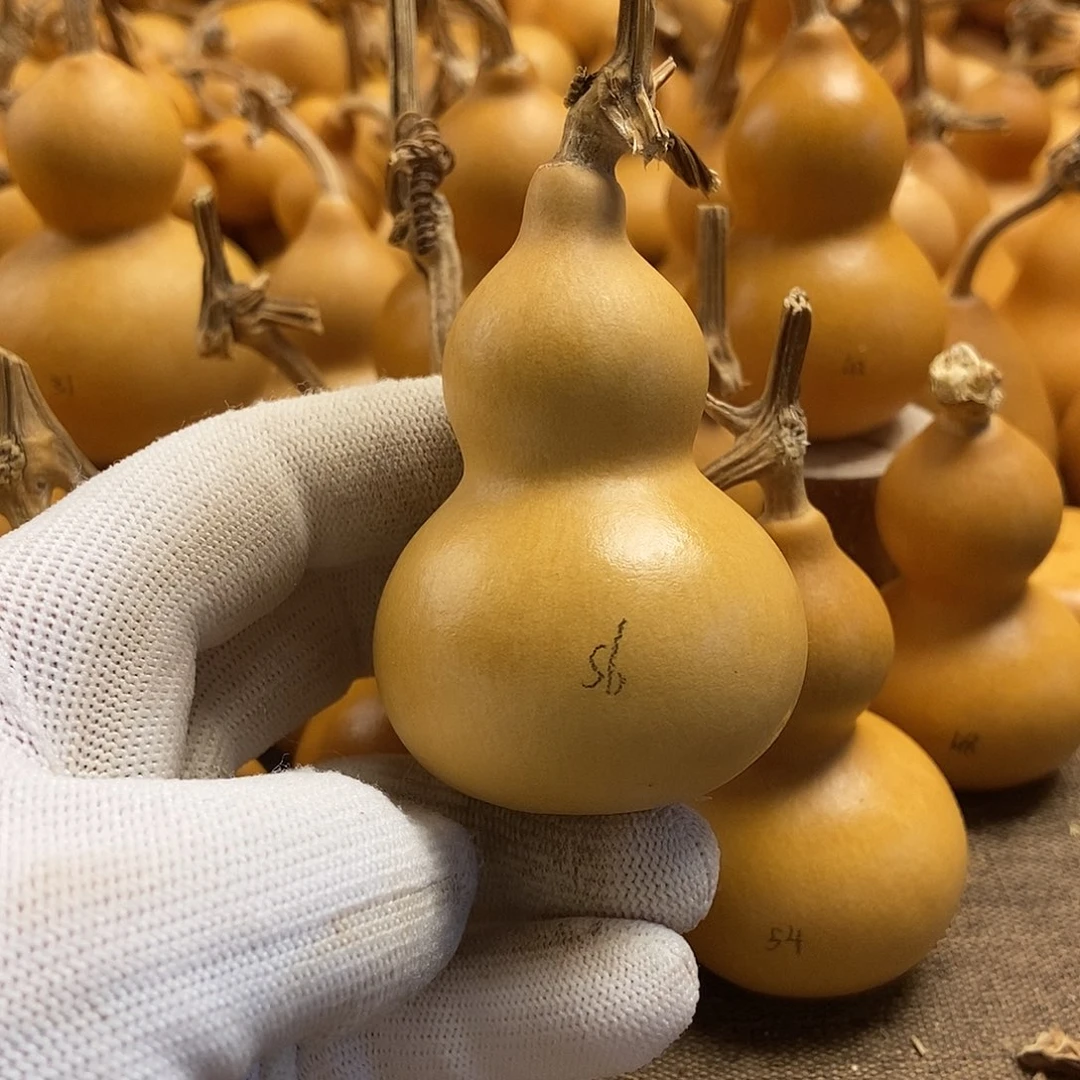 文玩葫芦 完美主义者 慎拍56