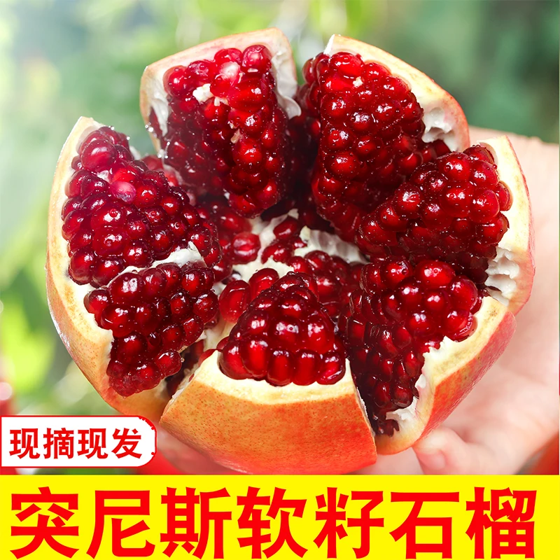 正宗四川突尼斯软籽石榴爆甜多汁新鲜应季水果产地现摘edcxl