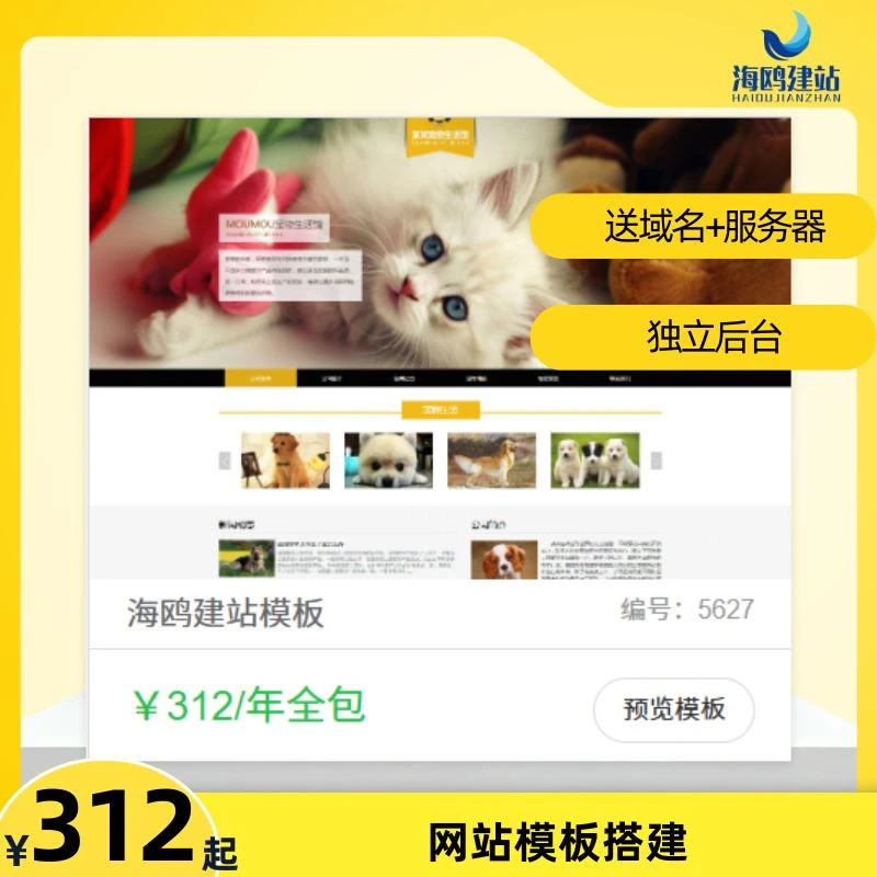 商城网站建设 外贸站小程序官网送域名