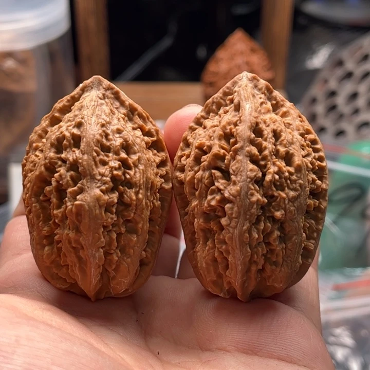 关****文玩核桃把件楸大胖38