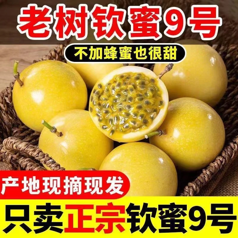 A新鲜现摘海南黄金百香果钦蜜9号特大纯甜整箱当季水果包邮鸡蛋果