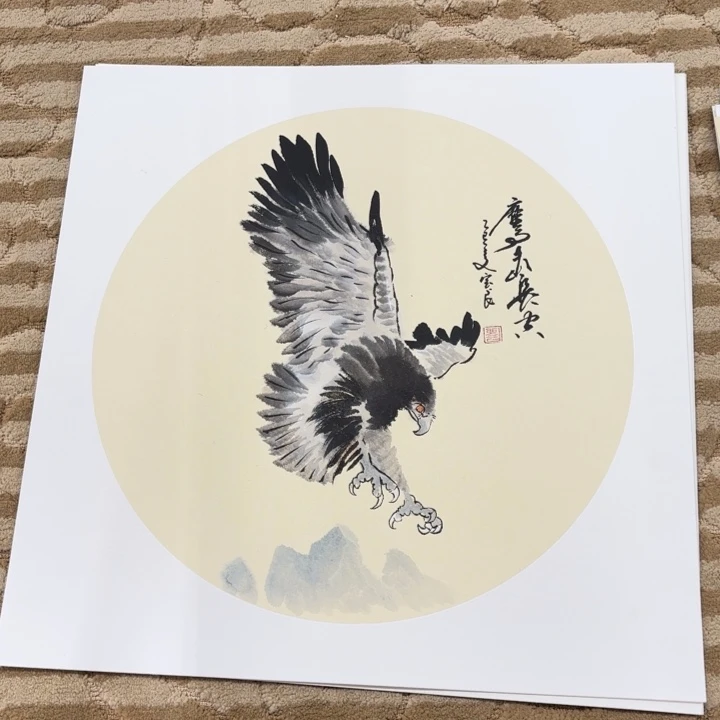 国画花鸟的翅膀和50.50