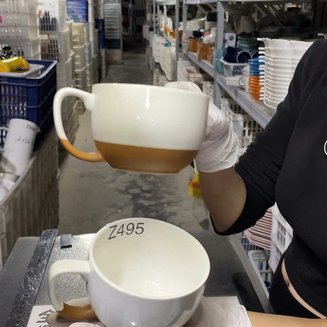 瓷片495               2个