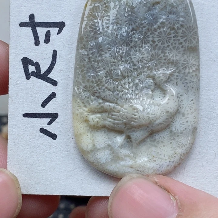 颈饰未镶嵌硅化珊瑚（珊瑚玉）