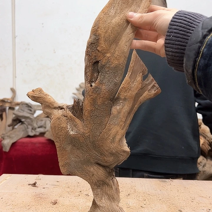 柏木熙****人我们的生活也是如此的丰富多彩