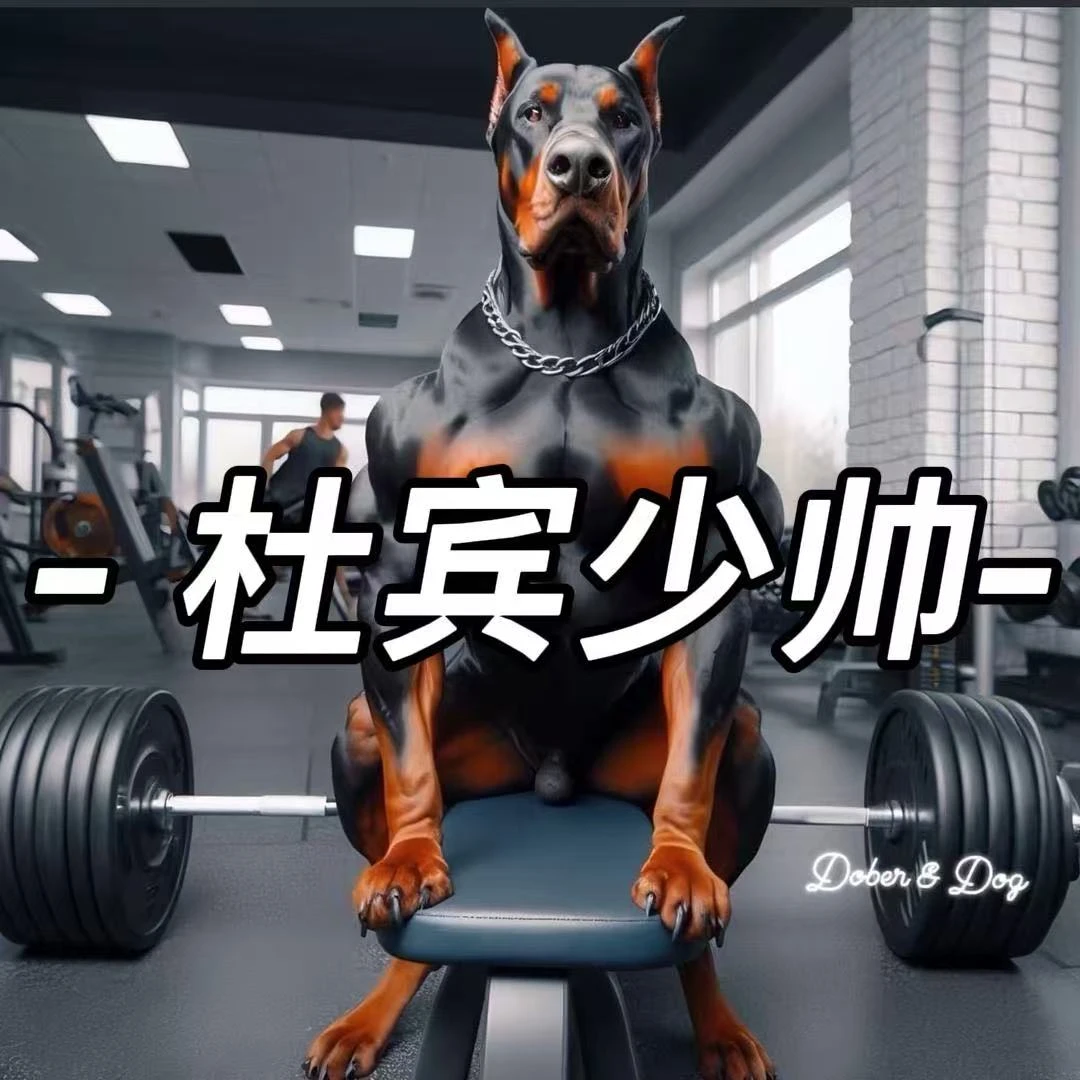 【杜宾少帅萌宠】活体狗狗