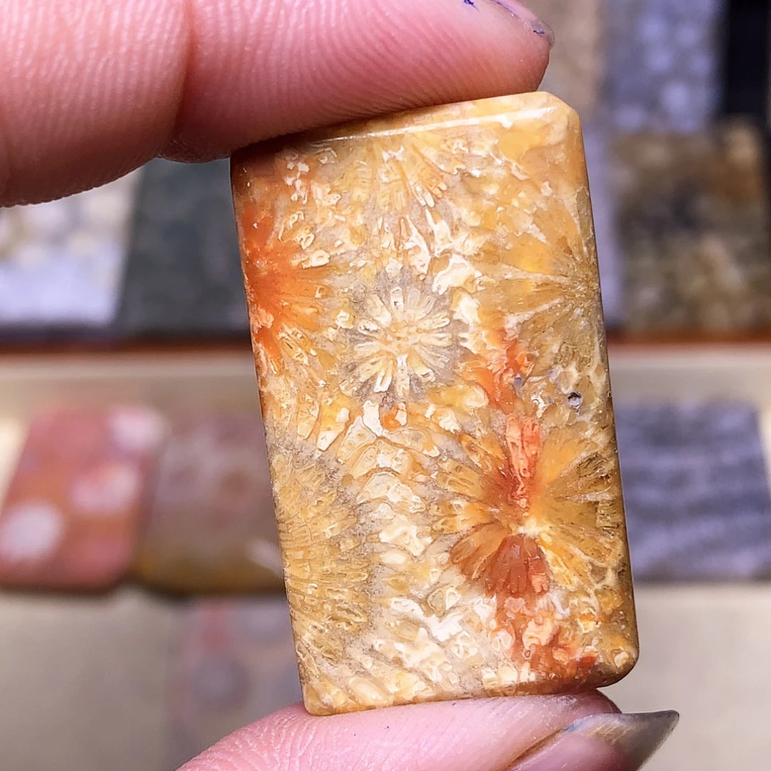 硅化玉珠宝奇石合金～***～