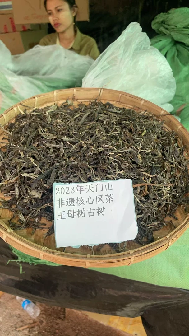 古树散茶23年天门山非遗核心区茶王母树古树77HSFi0828FR50-968