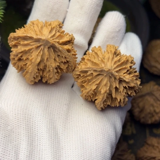 半***烟把件文玩核桃秦岭核桃9